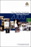 TI Annual Report 2006