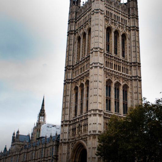 Parliamentary Lunch 2020