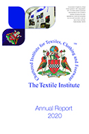 TI Annual Report 2020