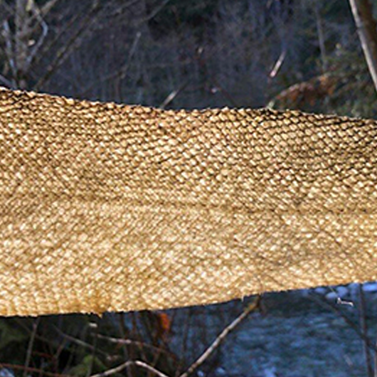 Fish Skin Leather Virtual Workshop with Janey Chang